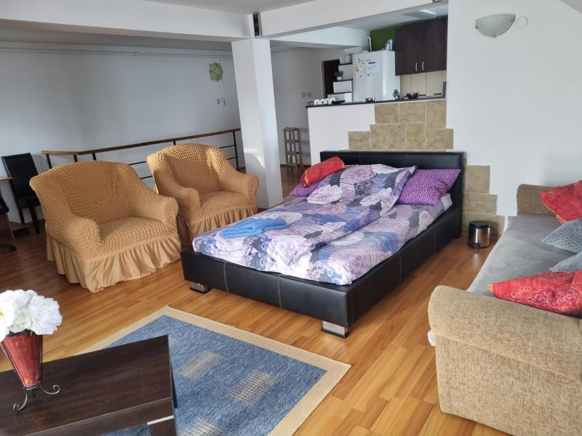 Penthouse Apartament 2 Floors, 2 Bedroom , 2 Bath, 120 Sqm , Inside Yard Parking Клуж-Напока Экстерьер фото